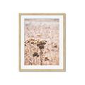 Picture of Macro Dried Florals _GroupedProduct_Rectangle_Portrait_Photography _GroupedProduct_Rectangle_Portrait_Framed_Matted_