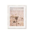 Picture of Macro Dried Florals _GroupedProduct_Rectangle_Portrait_Photography _GroupedProduct_Rectangle_Portrait_Framed_Matted_