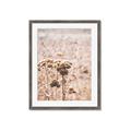 Picture of Macro Dried Florals _GroupedProduct_Rectangle_Portrait_Photography _GroupedProduct_Rectangle_Portrait_Framed_Matted_