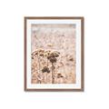 Picture of Macro Dried Florals _GroupedProduct_Rectangle_Portrait_Photography _GroupedProduct_Rectangle_Portrait_Framed_Matted_