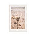 Picture of Macro Dried Florals _GroupedProduct_Rectangle_Portrait_Photography _GroupedProduct_Rectangle_Portrait_Framed_Matted_