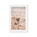 Picture of Macro Dried Florals _GroupedProduct_Rectangle_Portrait_Photography _GroupedProduct_Rectangle_Portrait_Framed_Matted_