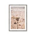 Picture of Macro Dried Florals _GroupedProduct_Rectangle_Portrait_Photography _GroupedProduct_Rectangle_Portrait_Framed_Matted_