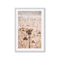 Picture of Macro Dried Florals _GroupedProduct_Rectangle_Portrait_Photography _GroupedProduct_Rectangle_Portrait_Framed_Matted_