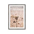 Picture of Macro Dried Florals _GroupedProduct_Rectangle_Portrait_Photography _GroupedProduct_Rectangle_Portrait_Framed_Matted_
