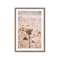 Picture of Macro Dried Florals _GroupedProduct_Rectangle_Portrait_Photography _GroupedProduct_Rectangle_Portrait_Framed_Matted_