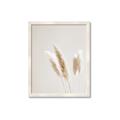 Picture of White Cluster petaled flower _GroupedProduct_Rectangle_Portrait_Photography _GroupedProduct_Rectangle_Portrait_Framed_Matted_