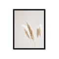 Picture of White Cluster petaled flower _GroupedProduct_Rectangle_Portrait_Photography _GroupedProduct_Rectangle_Portrait_Framed_Matted_