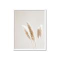 Picture of White Cluster petaled flower _GroupedProduct_Rectangle_Portrait_Photography _GroupedProduct_Rectangle_Portrait_Framed_Matted_