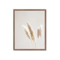 Picture of White Cluster petaled flower _GroupedProduct_Rectangle_Portrait_Photography _GroupedProduct_Rectangle_Portrait_Framed_Matted_