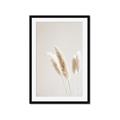 Picture of White Cluster petaled flower _GroupedProduct_Rectangle_Portrait_Photography _GroupedProduct_Rectangle_Portrait_Framed_Matted_