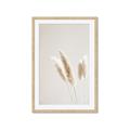 Picture of White Cluster petaled flower _GroupedProduct_Rectangle_Portrait_Photography _GroupedProduct_Rectangle_Portrait_Framed_Matted_