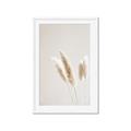 Picture of White Cluster petaled flower _GroupedProduct_Rectangle_Portrait_Photography _GroupedProduct_Rectangle_Portrait_Framed_Matted_