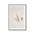 Picture of White Cluster petaled flower _GroupedProduct_Rectangle_Portrait_Photography _GroupedProduct_Rectangle_Portrait_Framed_Matted_
