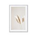 Picture of White Cluster petaled flower _GroupedProduct_Rectangle_Portrait_Photography _GroupedProduct_Rectangle_Portrait_Framed_Matted_