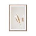 Picture of White Cluster petaled flower _GroupedProduct_Rectangle_Portrait_Photography _GroupedProduct_Rectangle_Portrait_Framed_Matted_