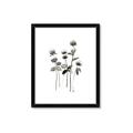 Picture of Black Botanical I  _GroupedProduct_Rectangle_Portrait_Framed_Matted_