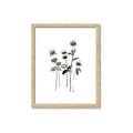 Picture of Black Botanical I  _GroupedProduct_Rectangle_Portrait_Framed_Matted_