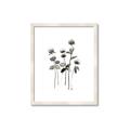 Picture of Black Botanical I  _GroupedProduct_Rectangle_Portrait_Framed_Matted_