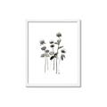 Picture of Black Botanical I  _GroupedProduct_Rectangle_Portrait_Framed_Matted_