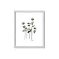 Picture of Black Botanical I  _GroupedProduct_Rectangle_Portrait_Framed_Matted_