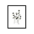 Picture of Black Botanical I  _GroupedProduct_Rectangle_Portrait_Framed_Matted_