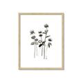 Picture of Black Botanical I  _GroupedProduct_Rectangle_Portrait_Framed_Matted_