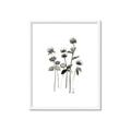Picture of Black Botanical I  _GroupedProduct_Rectangle_Portrait_Framed_Matted_