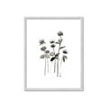 Picture of Black Botanical I  _GroupedProduct_Rectangle_Portrait_Framed_Matted_