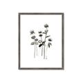 Picture of Black Botanical I  _GroupedProduct_Rectangle_Portrait_Framed_Matted_