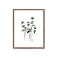 Picture of Black Botanical I  _GroupedProduct_Rectangle_Portrait_Framed_Matted_