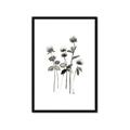 Picture of Black Botanical I  _GroupedProduct_Rectangle_Portrait_Framed_Matted_
