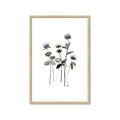 Picture of Black Botanical I  _GroupedProduct_Rectangle_Portrait_Framed_Matted_