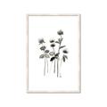 Picture of Black Botanical I  _GroupedProduct_Rectangle_Portrait_Framed_Matted_