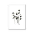 Picture of Black Botanical I  _GroupedProduct_Rectangle_Portrait_Framed_Matted_