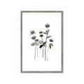Picture of Black Botanical I  _GroupedProduct_Rectangle_Portrait_Framed_Matted_