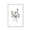 Picture of Black Botanical I  _GroupedProduct_Rectangle_Portrait_Framed_Matted_