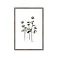 Picture of Black Botanical I  _GroupedProduct_Rectangle_Portrait_Framed_Matted_