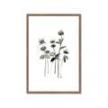 Picture of Black Botanical I  _GroupedProduct_Rectangle_Portrait_Framed_Matted_