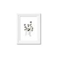 Picture of Black Botanical I  _GroupedProduct_Rectangle_Portrait_Framed_Matted_