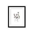 Picture of Black Botanical I  _GroupedProduct_Rectangle_Portrait_Framed_Matted_
