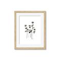 Picture of Black Botanical I  _GroupedProduct_Rectangle_Portrait_Framed_Matted_