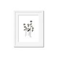 Picture of Black Botanical I  _GroupedProduct_Rectangle_Portrait_Framed_Matted_