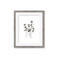 Picture of Black Botanical I  _GroupedProduct_Rectangle_Portrait_Framed_Matted_