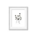 Picture of Black Botanical I  _GroupedProduct_Rectangle_Portrait_Framed_Matted_