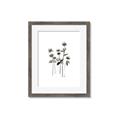 Picture of Black Botanical I  _GroupedProduct_Rectangle_Portrait_Framed_Matted_