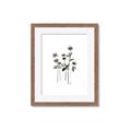Picture of Black Botanical I  _GroupedProduct_Rectangle_Portrait_Framed_Matted_