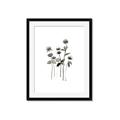 Picture of Black Botanical I  _GroupedProduct_Rectangle_Portrait_Framed_Matted_
