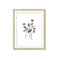 Picture of Black Botanical I  _GroupedProduct_Rectangle_Portrait_Framed_Matted_