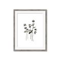 Picture of Black Botanical I  _GroupedProduct_Rectangle_Portrait_Framed_Matted_